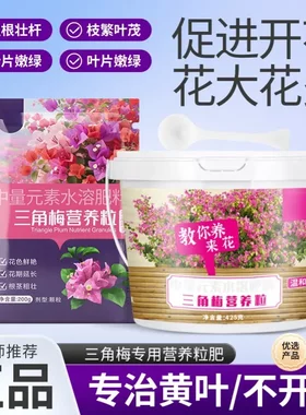 三角梅营养粒营养粒促花促芽爆花颗粒缓释营养颗粒开花有机型肥料