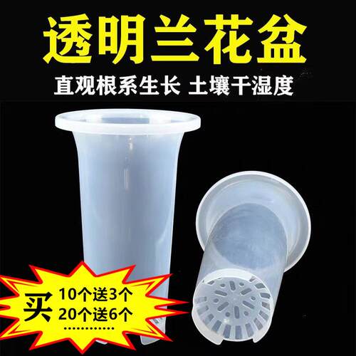 透明兰花盆无侧孔观察根系生长