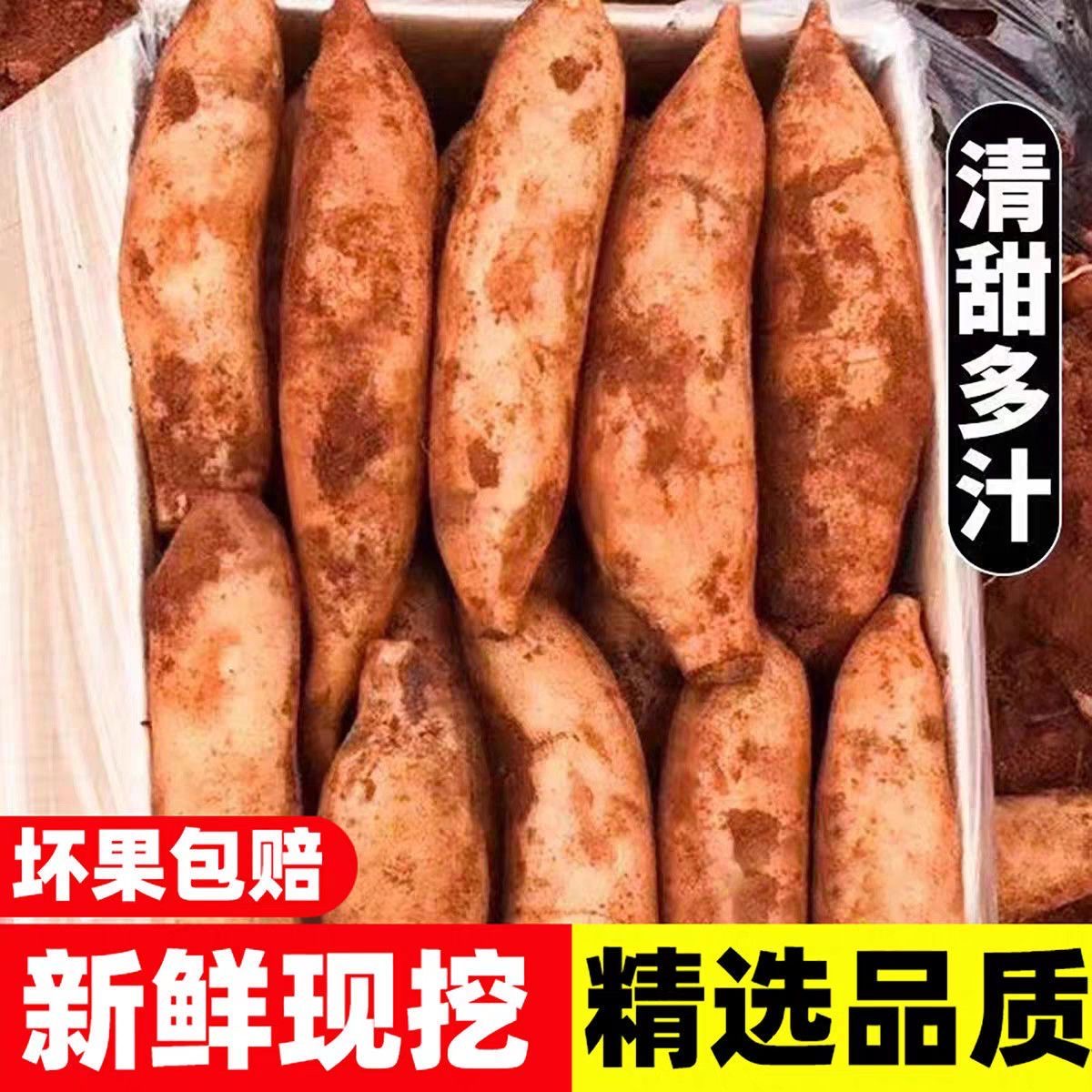 云南天山雪莲果新鲜水果黄心雪莲果应季批发包邮脆甜现摘现挖清甜