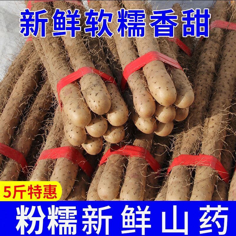正宗铁棍山药铁杆淮山怀山药新鲜5斤特级整箱非焦作温县5包邮