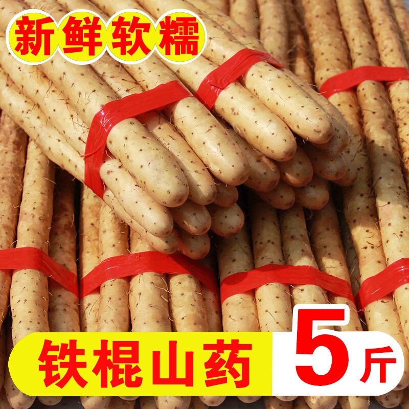 新鲜铁棍山药正宗河南焦作新鲜铁杆怀山药特产淮山药5斤