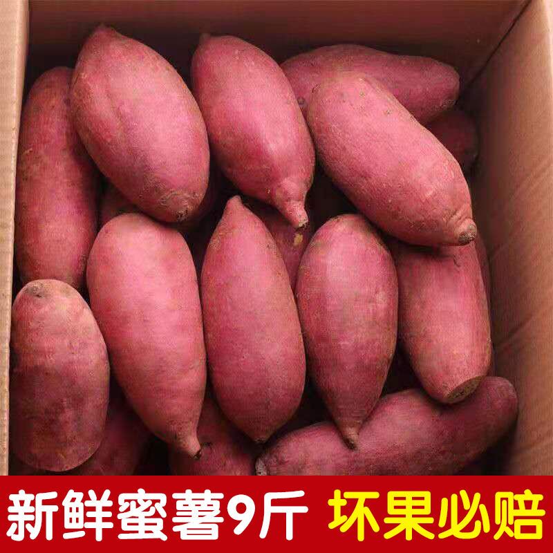 新鲜蜜薯9斤红薯新鲜板栗烤地瓜糖心番薯沙地农家自种山芋