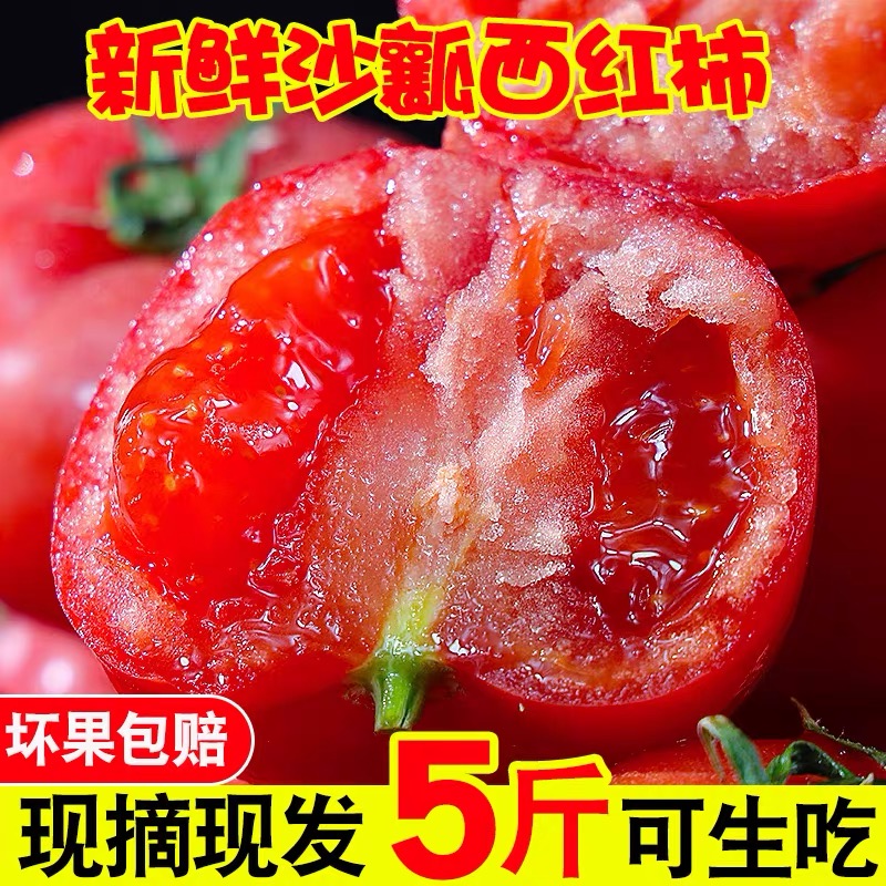 新鲜草莓西红柿普罗旺斯沙瓤自然熟生吃大番茄老品种柿子水果