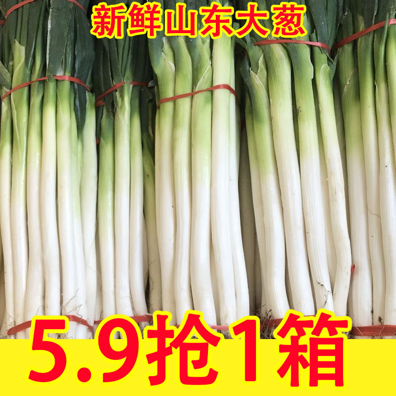 山东章丘大葱新鲜特级9斤正宗甜脆铁杆大葱特产蔬菜5斤香葱头
