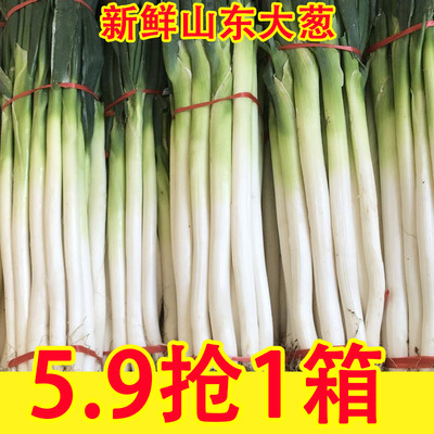山东章丘大葱新鲜特级9斤正宗甜脆铁杆大葱特产蔬菜5斤香葱头
