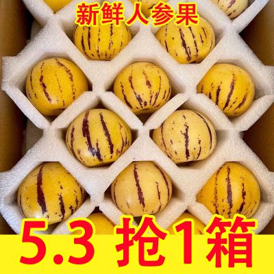 人参果云南新鲜5斤水果树上熟黄肉圆果腾冲火山灰土壤甜度高农家