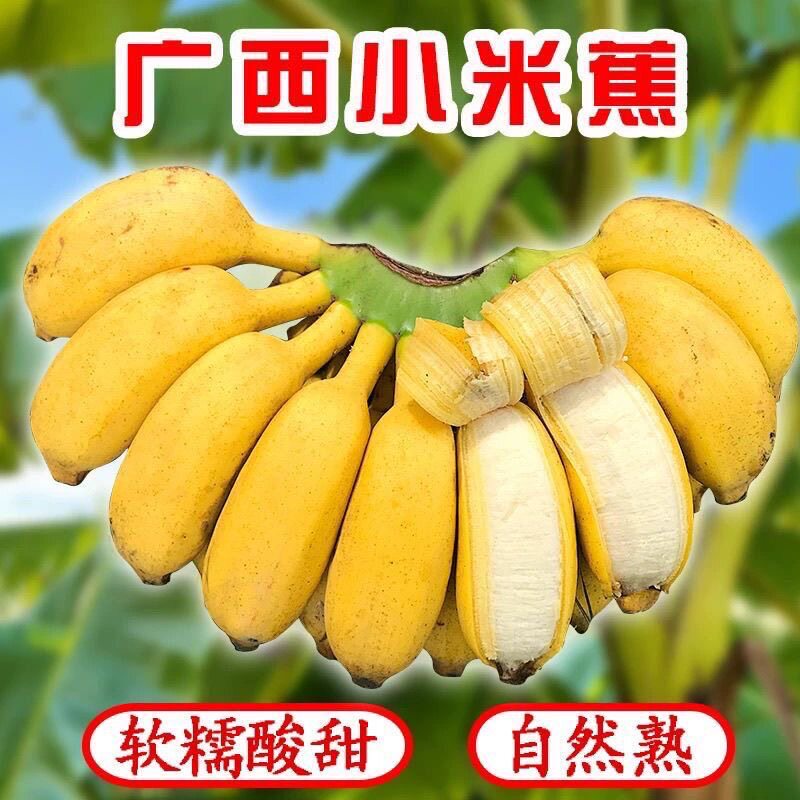 �����㽶����С�׽�9��ˮ������С��Ž�ƻ������Ȼ�쵱������ 1�� 5.1Ԫ