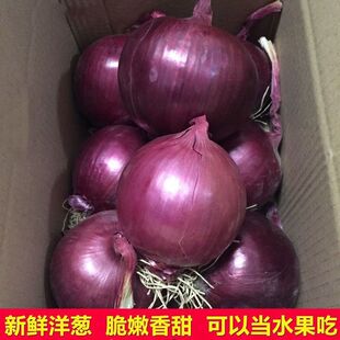 正宗云南紫皮水果洋葱新鲜9斤圆葱甜洋葱当季蔬菜红皮农家