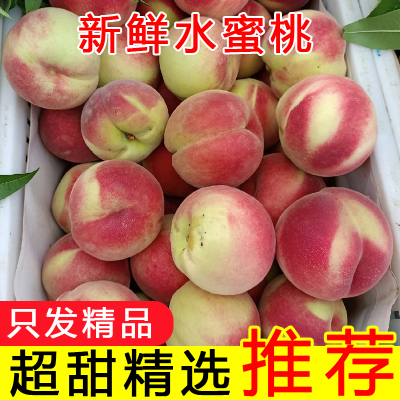 纯甜水蜜桃新鲜水果当季现摘突围毛桃可硬着吃可软了撕皮吃