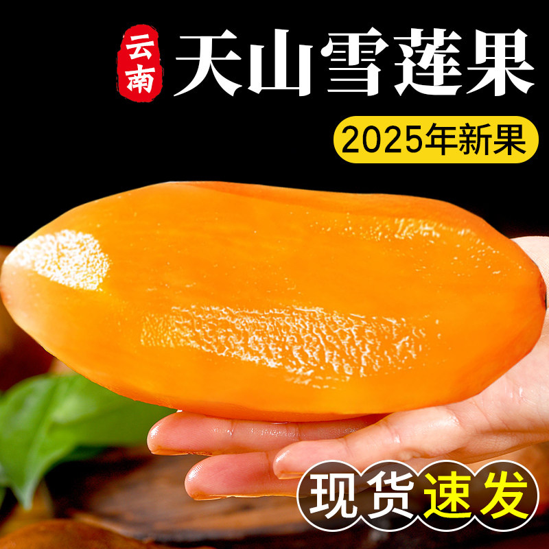 精品!现货新果云南天山雪莲果新鲜水果9斤当季黄肉雪连果脆甜