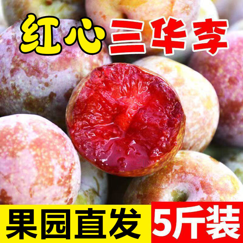 正宗老树三华李大果5红心李子新鲜水果脆甜包邮农家时令当季整箱
