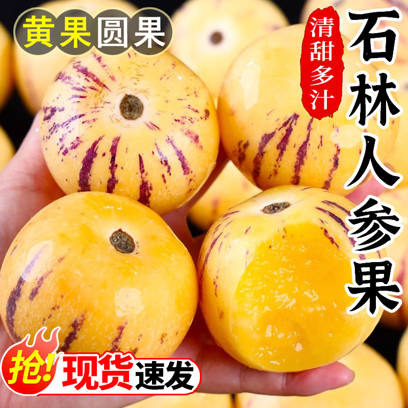 云南石林人参果新鲜水果当季整箱树上熟黄果圆果七彩人生果娃娃,水产肉类/新鲜蔬果/熟食,人参果,淘宝优惠券,粉丝福利购,淘宝优惠卷