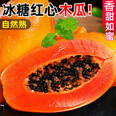 广西牛奶冰糖红心木瓜9斤新鲜采摘产地直发当季水果软嫩多汁整箱