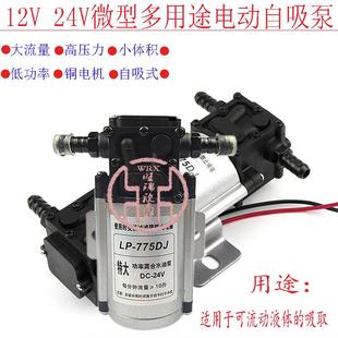 水泵水箱放水大功率电动水泵 货车刹车淋水器配件12V24V汽车自吸式