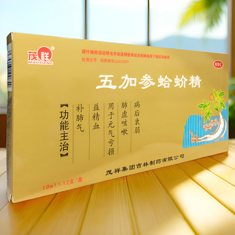 【茂祥】五加参蛤蚧精10ml*12/支