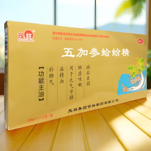 【茂祥】五加参蛤蚧精10ml*12/支