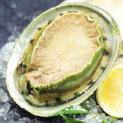 澳洲青边鲍进口鲜活冷冻鲍鱼海鲜水产高档日料刺身绿边鲍新货澳洲