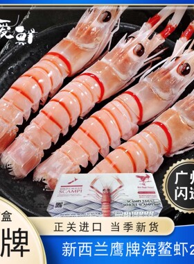 新西兰鹰牌鳌虾scampi斯干比小龙虾2KG 南极深海捕捞螯虾1号2号