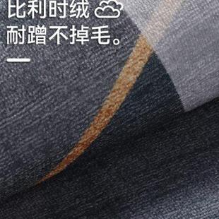 入户门地垫轻奢家用地毯门垫进门简约现代门口脚垫室内高端玄关垫