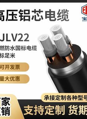 YJLV22铝芯高压电缆铠装10KV 3芯35 50 70 95 120 185240平方15KV