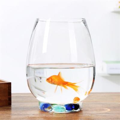 特大号水培花瓶龙蛋造型花瓶透明玻璃绿萝花盆客厅桌面摆件鱼缸