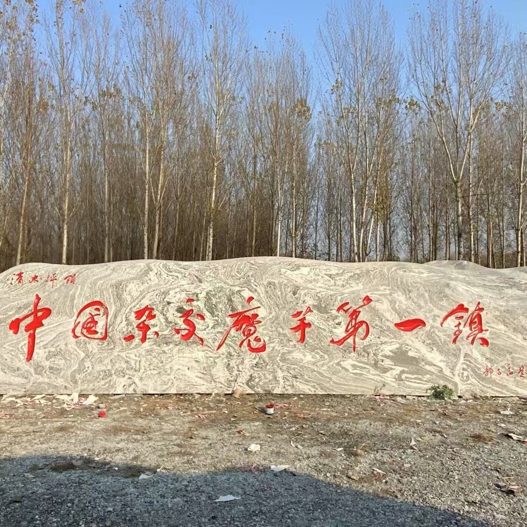 大型天然原石景观石头庭院观赏石小区草坪石企业门牌石户外靠山石