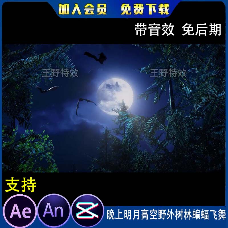 晚上明月高空野外树林蝙蝠飞舞沙雕动画AE恐怖鬼片鬼夜AN特效素材