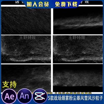 5款战场烟雾粉尘暴风雪风沙粒子沙雕动画灾难环境氛围AN特效素材