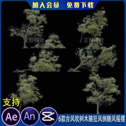 6款台风吹树木随狂风倒随风摇摆大沙雕动画MOV透明视频AN特效素材
