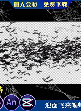 4款迎面飞来蝙蝠群沙雕动画一群恐怖黑白色蝙蝠AE视频AN特效素材