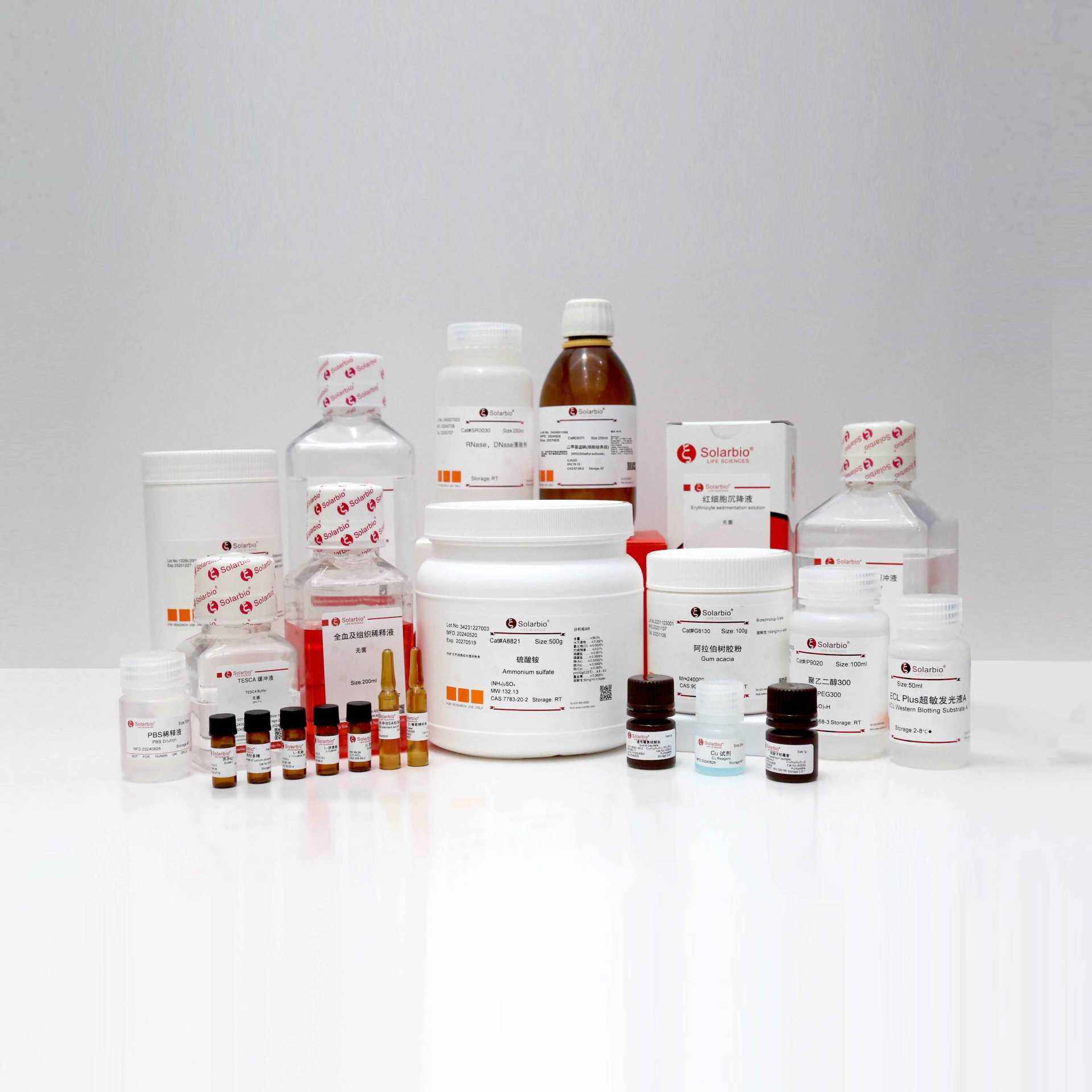 P1020  1×PBS缓冲液(pH7.2- 7.4)   500ml  PBS 磷酸盐缓冲