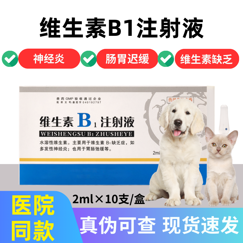 维生素B1注射液消化不良猫狗通用