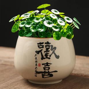 碗莲多用途水培花盆家用大号水养睡莲绿植缸圆形陶瓷桌面无孔器皿