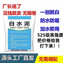 高强度白水泥525刷补墙瓷砖填勾卫生间速干防水家用堵漏填缝隙剂