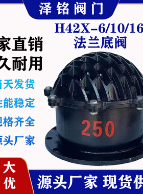 H42X-6法兰底阀单向阀止回阀铸铁水泵底阀DN50 80 100  新型底阀