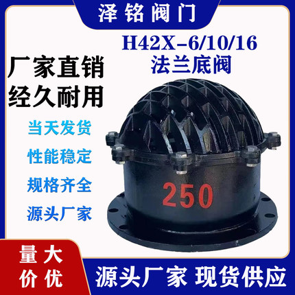 H42X-6法兰底阀单向阀止回阀铸铁水泵底阀DN50 80 100  新型底阀