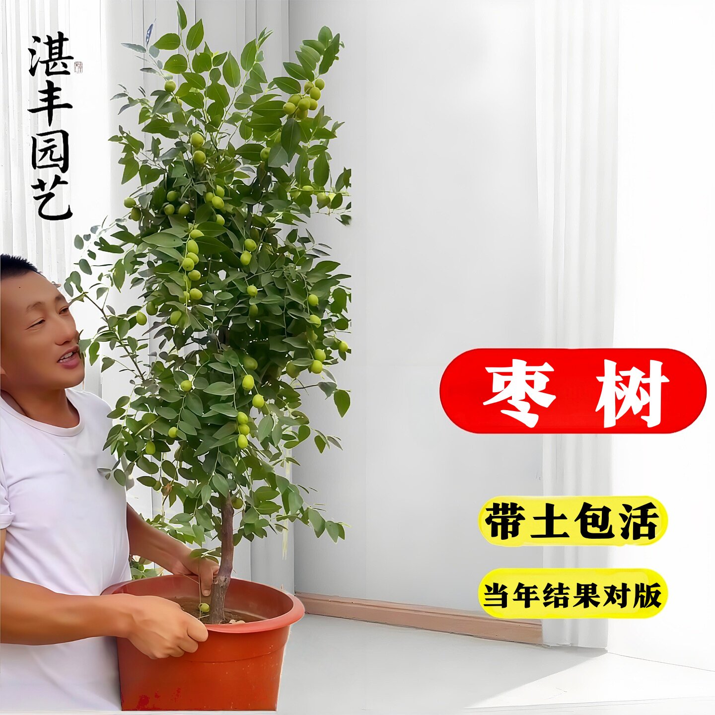 մ�����桾3���ִ� �����򡿵����� �����߶�1.1-1.2�� 141cm(��)-170cm(��) ����������泬���ش�Ź����������Ƕ����«�����Ϸ���������