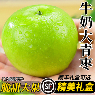 新鲜牛奶枣大青枣9斤贵妃水果脆枣子新年礼盒非福建漳州苹果冬枣