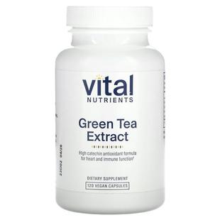 Tea Green Extract 120 Capsules Vital Vegan Nutrients