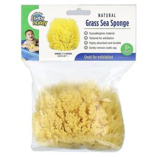 Grass Sea Sponge Baby Months Natural Buddy