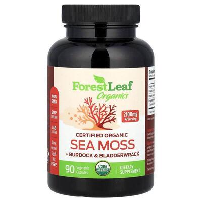 Forest Leaf,Certified Organic Sea Moss + Burdock &amp;am