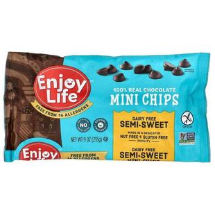 享受生活食品,100% Real Chocolate Mini Chips, Semi-Sweet, 9 o