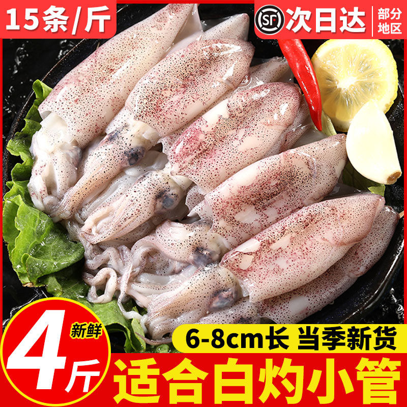 新鲜舟山小管鱿笔管鱿适合白灼