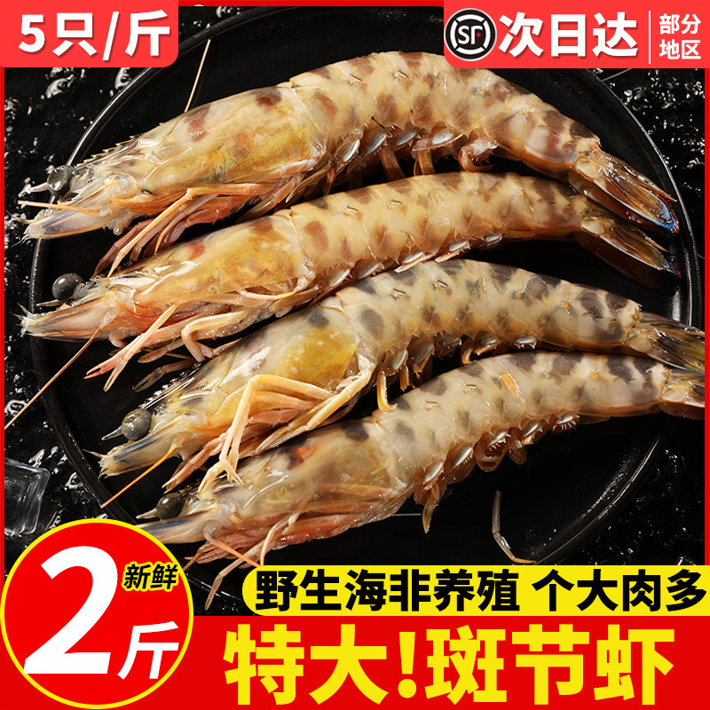 2斤野生斑节虾鲜活特大竹节虾