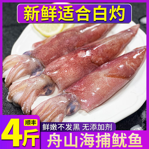 新鲜鱿鱼生鲜舟山海捕急冻冷冻冰冻笔管鱿鱼特大小管鱿可以白灼