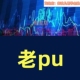 野生分析老PU体系大专栏金融分析sa技术行业赛道b总结梳理资料学