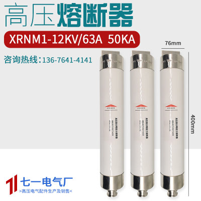 XRNM1-10-12KV/20A50A固定式高压熔断器限流熔断器管80A/63A/100A