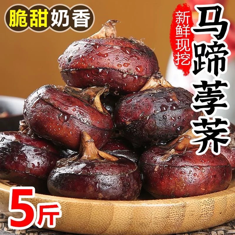新鲜荸荠马蹄地栗地梨农家水果蔬菜红应季马蹄果现挖现发包邮整箱