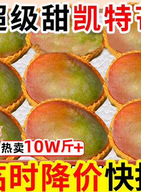 四川攀枝花凯特芒果新鲜应季水果澳芒青整箱包邮特大青果当季