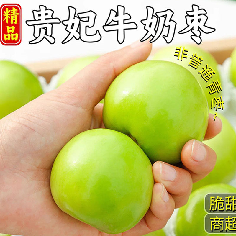 新鲜牛奶大青枣5斤枣贵妃冬枣时令水果当季整箱奶油脆枣果园现发